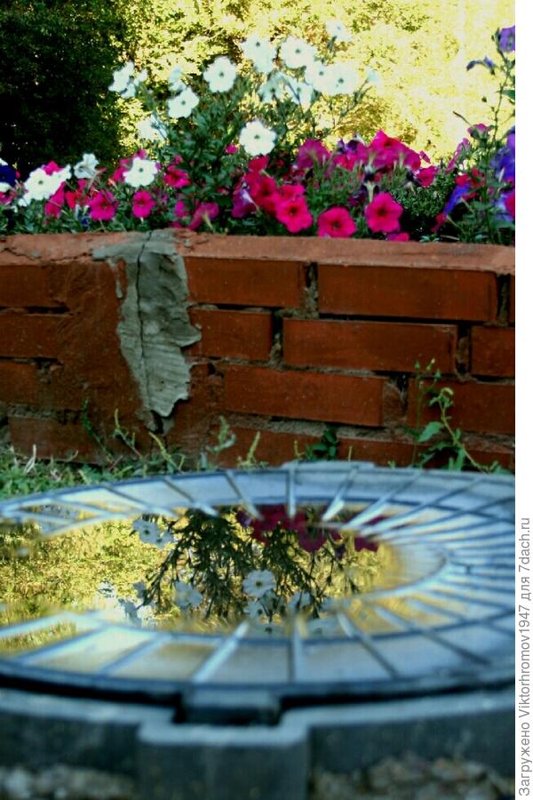 Может стать фото героем.