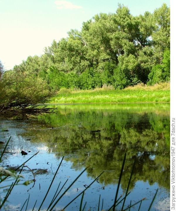 Слышно только нудный комариный писк.