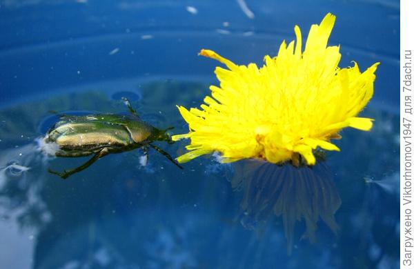 Нужно догнать этот плотик...