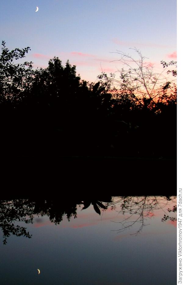 А новенькая луна в нашу бочку заглянула.