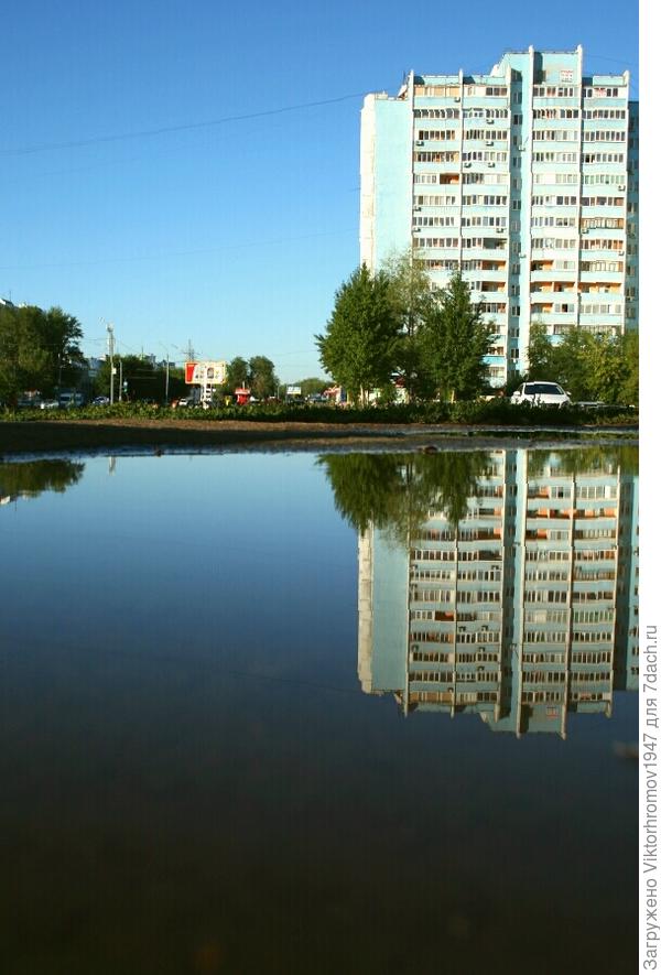 А оказалось...ЛУЖА.