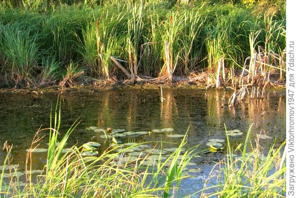 Могу любоваться вечно...