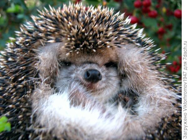 и передаёт Вам свою очаровательную улыбку. Спасибо!