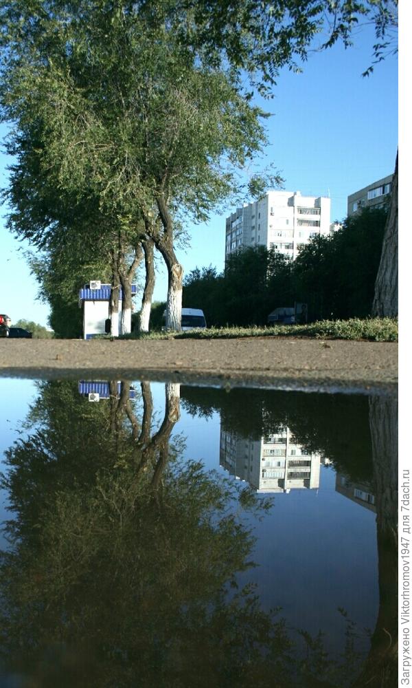 Картина в луже...