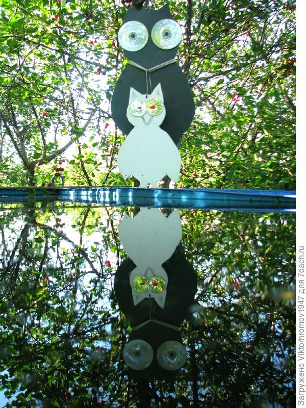 Искупаться, что ли? Жарко!