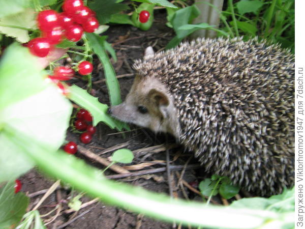 Галина, спасибо!