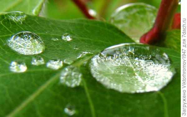 Крупные алмазы...