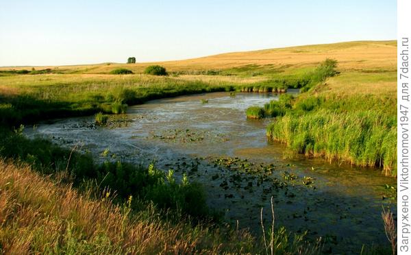И мелкие озёра зарастают.