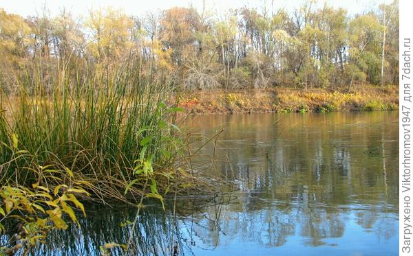 Здесь будем окуня ловить...