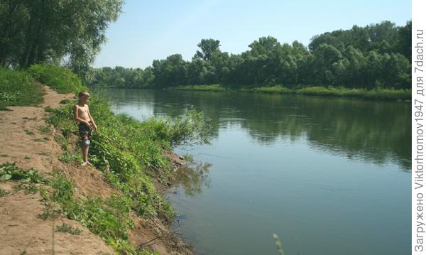 Успеть порыбачить в солнечные деньки...