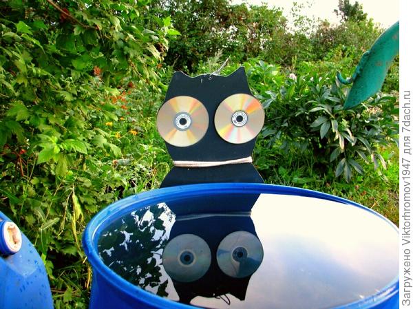 Что там в бочке?...