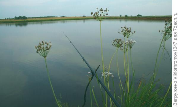 Ожидание поклёвки...