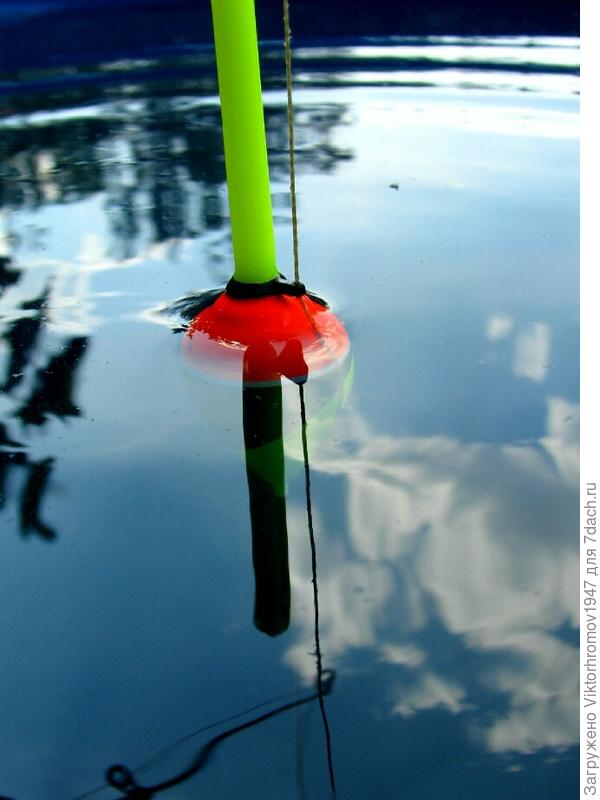 Куда направлен взгляд рыболова?