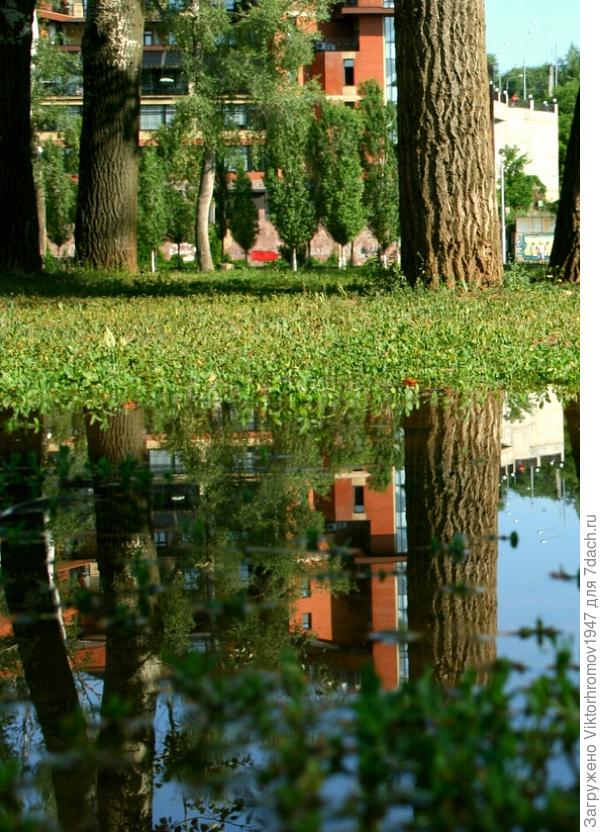 "ПОДВОДНОМ ГОСУДАРСТВЕ..."