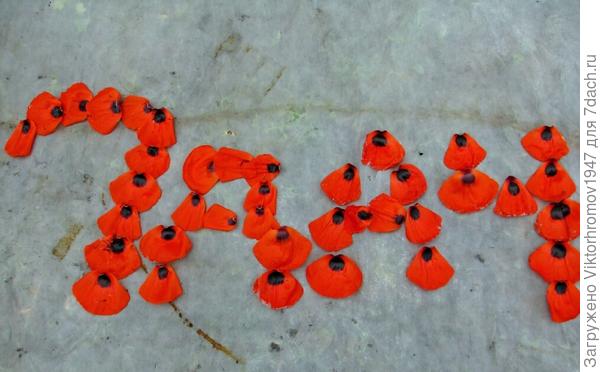 Из лепестков мака.