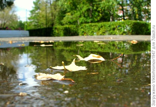 После дождичка в четверг...