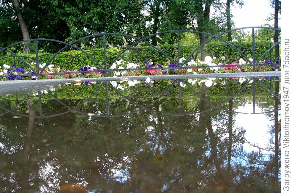 Красивая тропинка