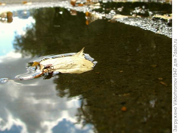 Тучки. Листва. Осень.