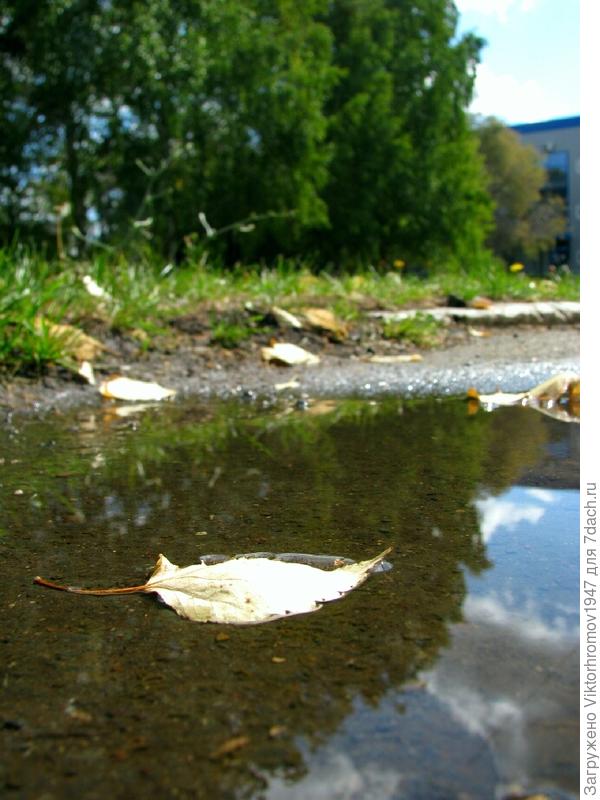 У природы нет плохой погоды.