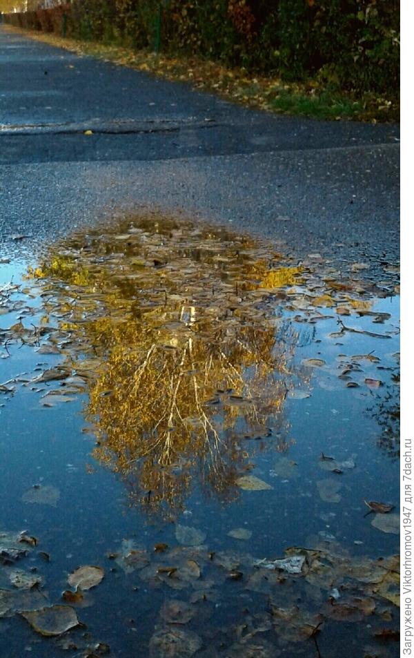 Уже отражается Осень