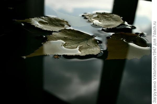 После дождя.