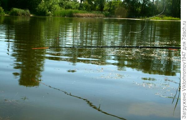 Отдых на озере...