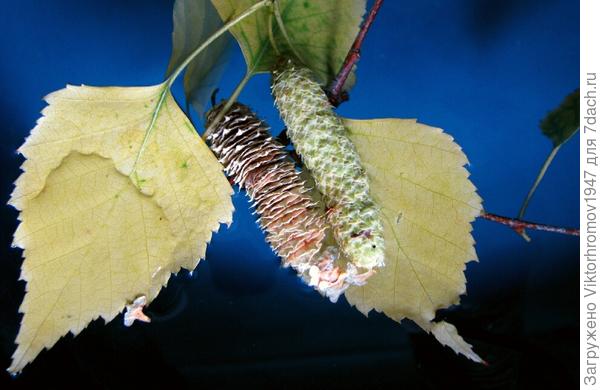 Мы готовы к осени...