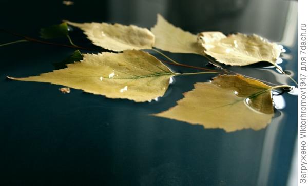 СКОРО  ОСЕНЬ