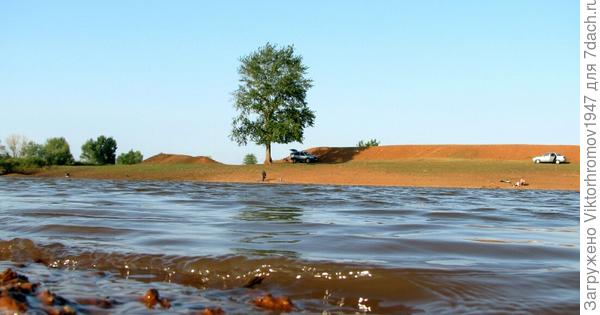Отражение одиноких деревьев и волны...