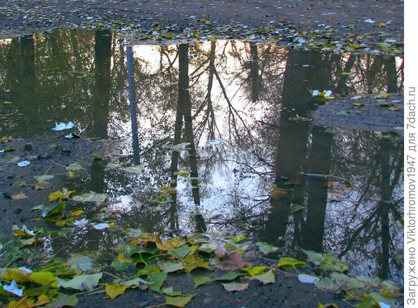 из листьев.