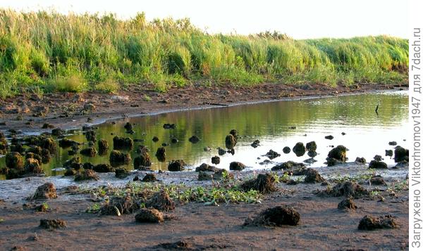 Что это, интересно?