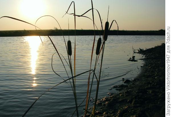 ЗАКАТ НА ПРУДУ