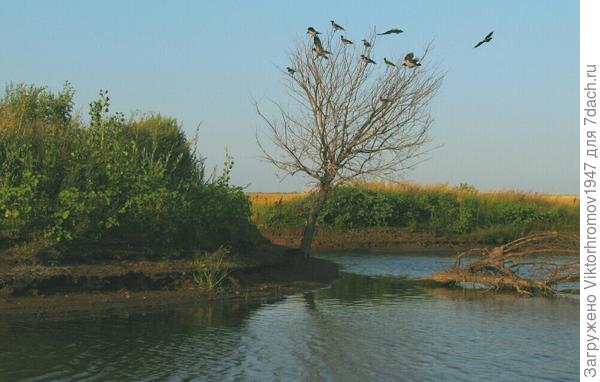 &amp;quot;Обитаемый&amp;quot;осттров.