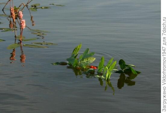 Из лета в осень!