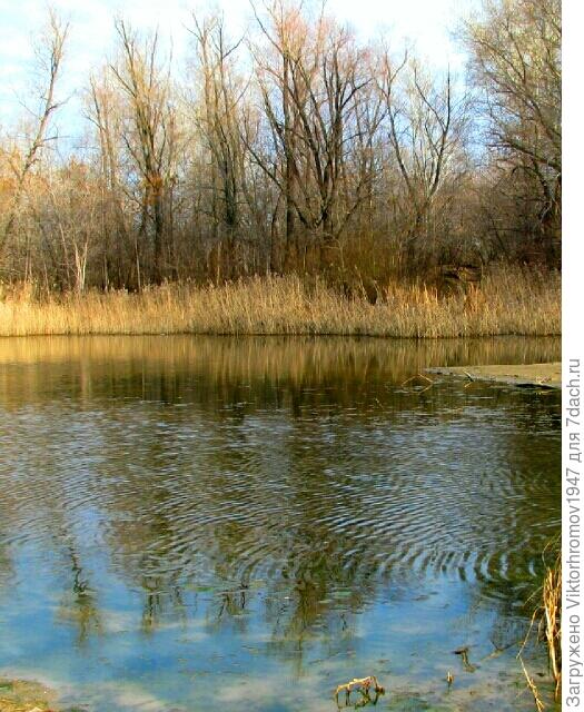 Да! Это осень...