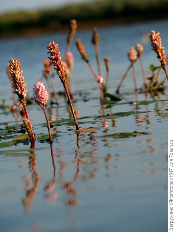 Сказочное поздравление...