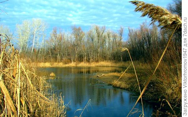 Скоро осень...