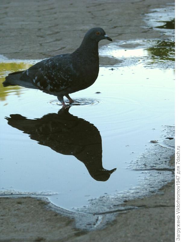 А мне и улетать не хочется...