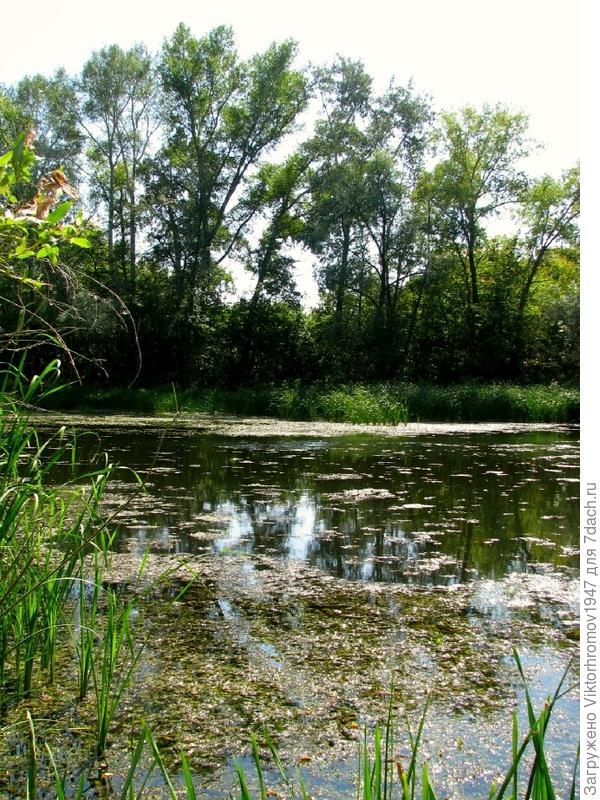 Зато красиво!