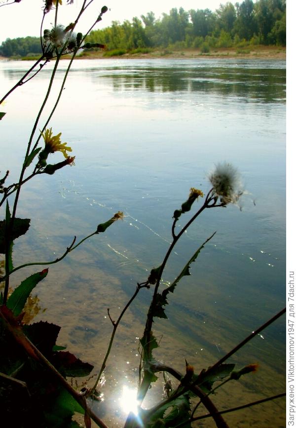 Солнечный лучик