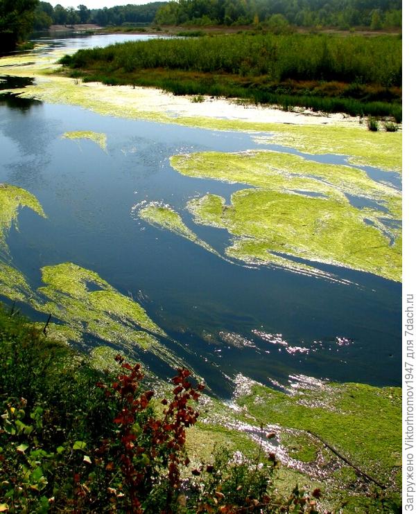 Игра красок...