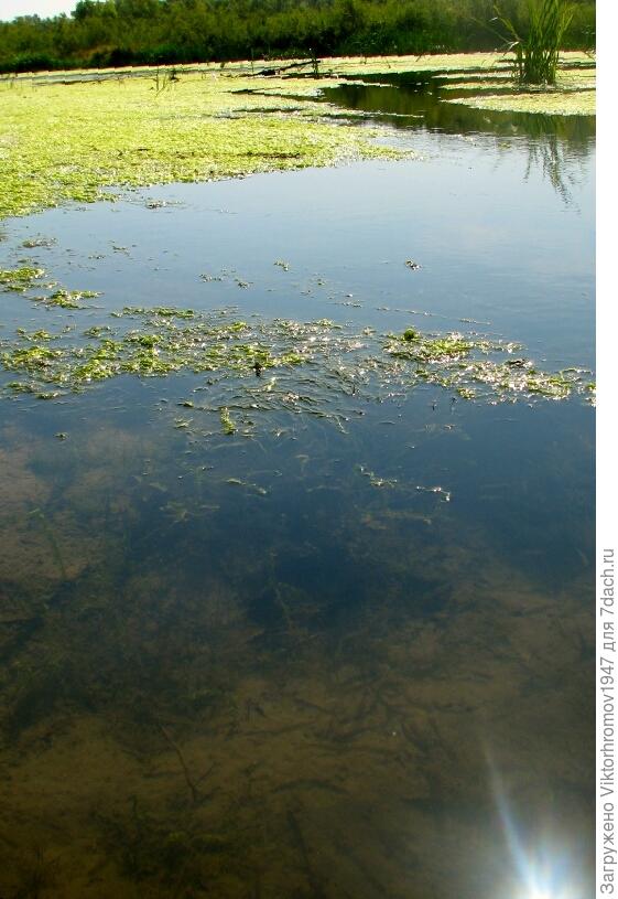 "Солнечный фонарик"