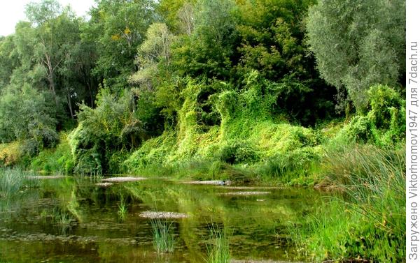 Не ступала нога человека...