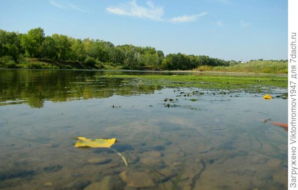 Куда?...Поплыл осенний листик...