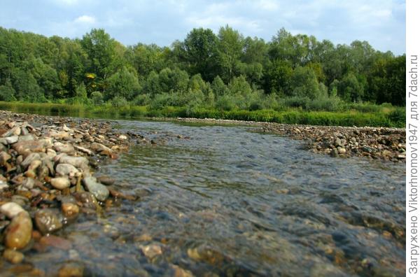 Горная речушка.