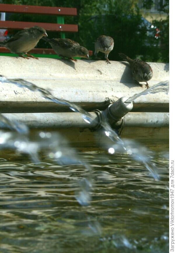 Прыгать надо!...