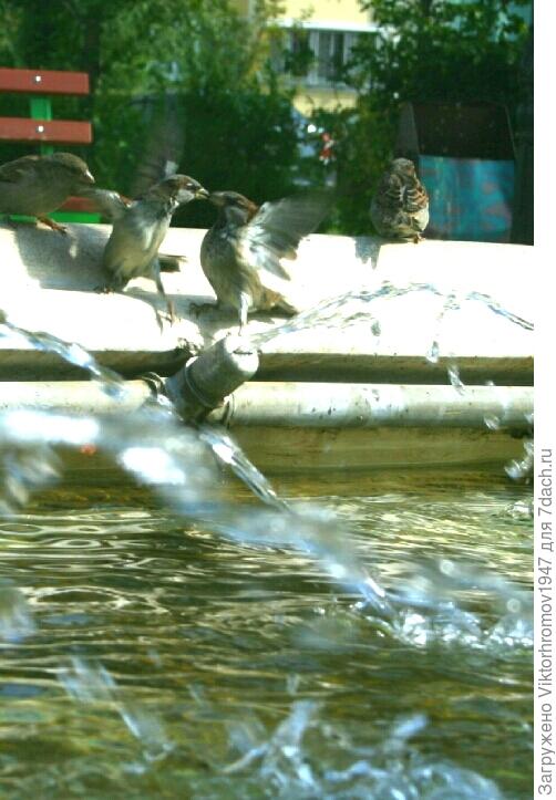 На глоточек. Вижу пить хочешь!