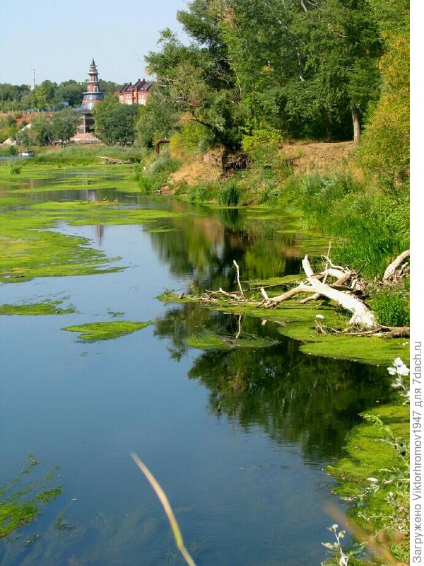 Старое русло Урала.