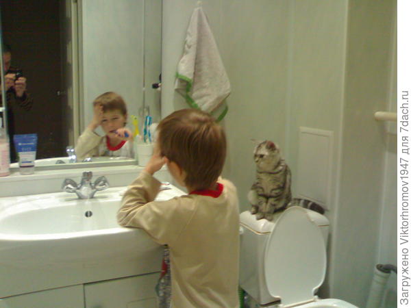 доброе утро