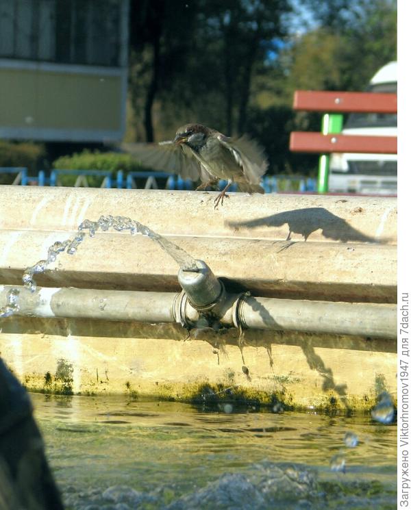 Смело прилетайте...